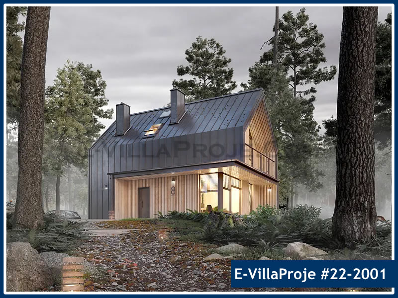 Dağ Evi Villa Projeleri