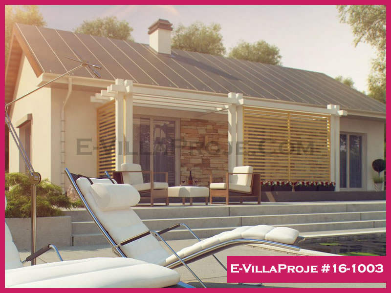 Ev Villa Proje #16 - 1003 Ana Görsel