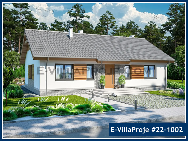 Ev Villa Proje #22 - 1002 Ana Görsel