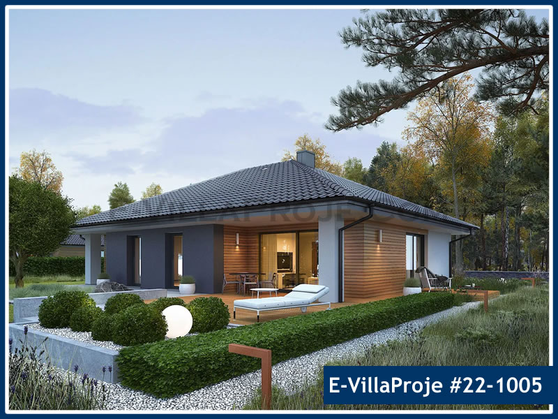 Ev Villa Proje #22 - 1005 Ana Görsel