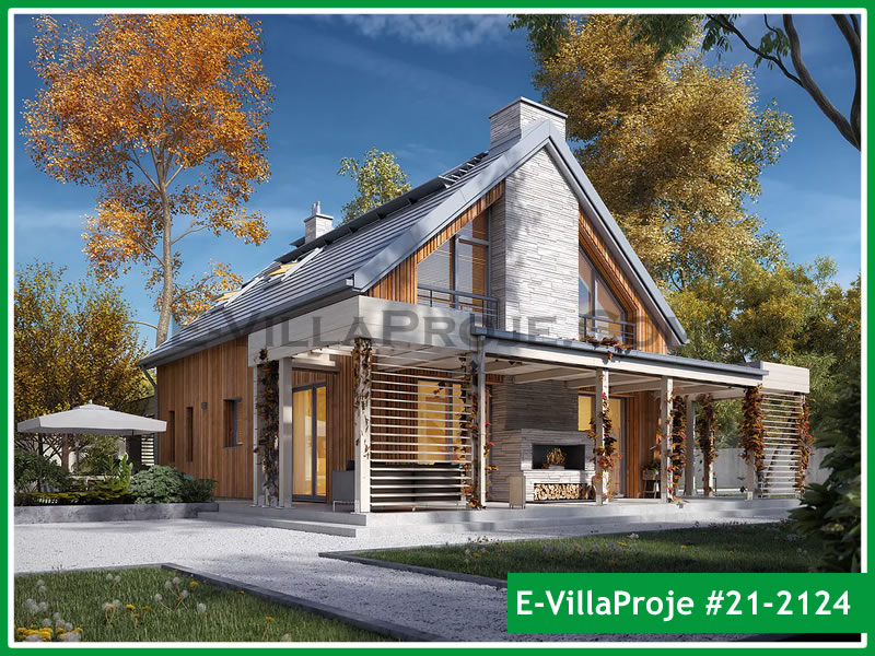 Ev Villa Proje #21 - 2124 Ana Görsel