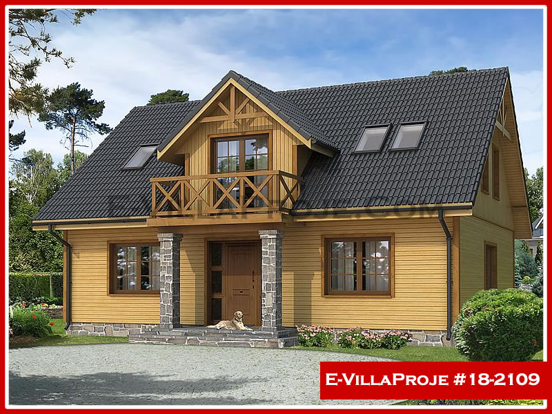 Ev Villa Proje #18 - 2109 Ana Görsel