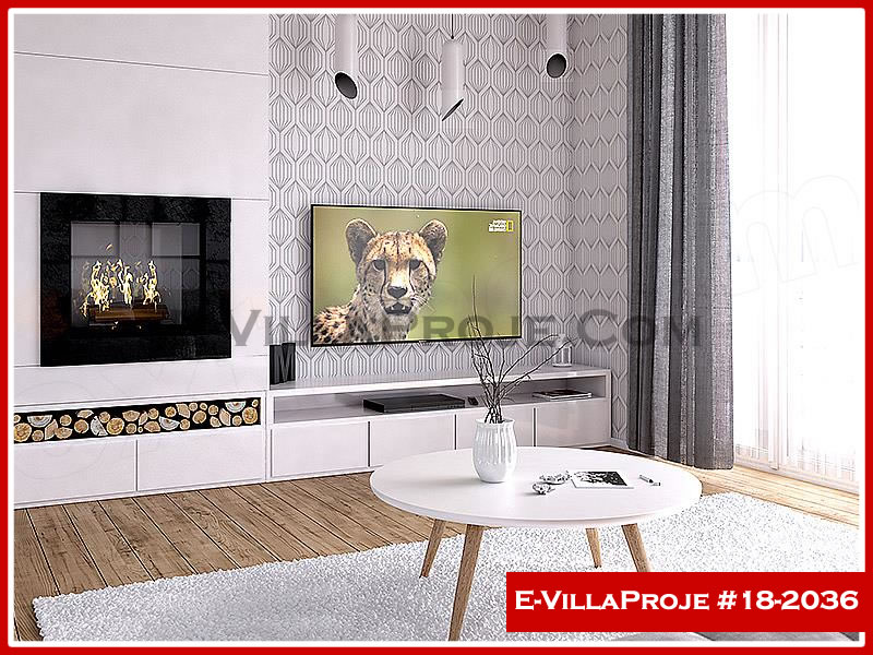 Ev Villa Proje #18 - 2036 Galeri Görseli 8