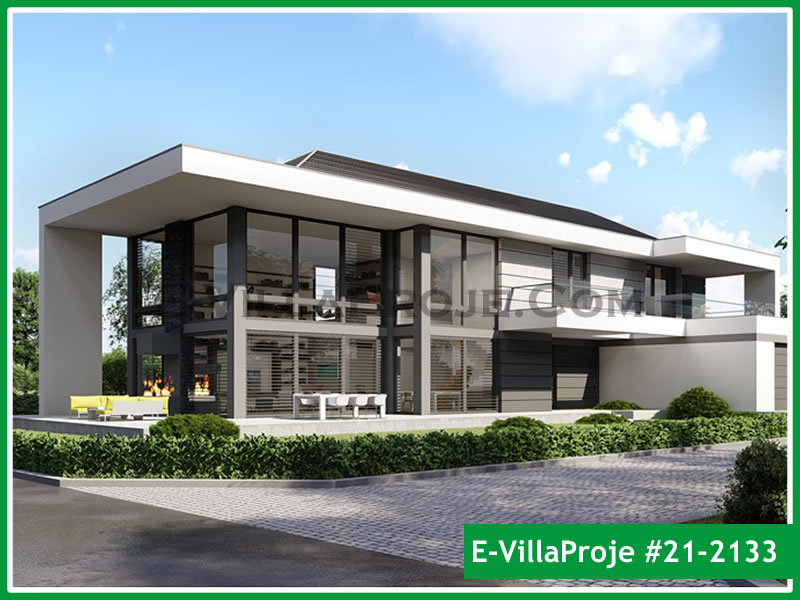 Ev Villa Proje #21 - 2133